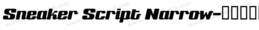 Sneaker Script Narrow字体转换
